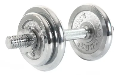 Hantelset krom 10 kg