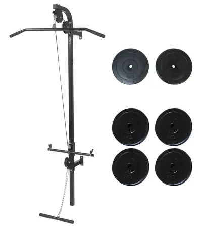 vidaXL Väggmonterat power tower med viktskivor 40 kg